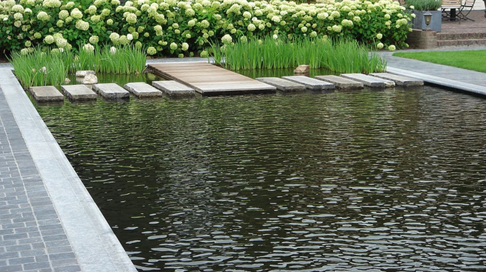 zwemvijver entretenir piscine