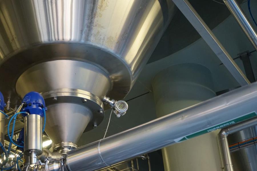 Endress + Hauser