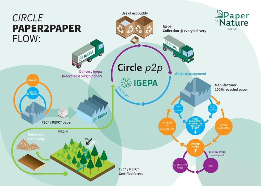 Igepa