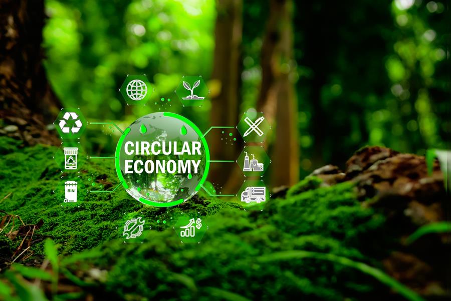 circulaire economie